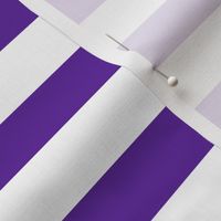 Stripes - Horizontal - 1 inch (2.54cm) - Purple (#5E259B) & White (#FFFFFF)