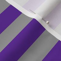 Stripes - Horizontal - 1 inch (2.54cm) - Dark Purple (#5E259B) and Grey (#99999A)