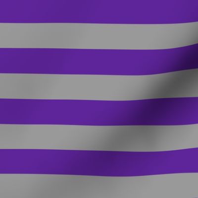 Stripes - Horizontal - 1 inch (2.54cm) - Dark Purple (#5E259B) and Grey (#99999A)