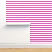Stripes - Horizontal - 1 inch (2.54cm) - Light Pink (#E95FBE) & White (#FFFFFF)