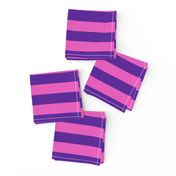 Stripes - Horizontal - 1 inch (2.54cm) - Pink (E95FBE) & Purple (5E259B)