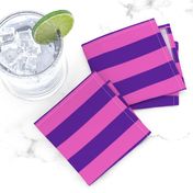 Stripes - Horizontal - 1 inch (2.54cm) - Pink (E95FBE) & Purple (5E259B)