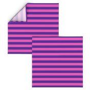 Stripes - Horizontal - 1 inch (2.54cm) - Pink (E95FBE) & Purple (5E259B)