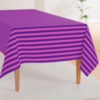 Stripes - Horizontal - 1 inch (2.54cm) - Pink (E95FBE) & Purple (5E259B)