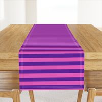 Stripes - Horizontal - 1 inch (2.54cm) - Pink (E95FBE) & Purple (5E259B)