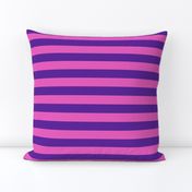 Stripes - Horizontal - 1 inch (2.54cm) - Pink (E95FBE) & Purple (5E259B)