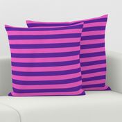 Stripes - Horizontal - 1 inch (2.54cm) - Pink (E95FBE) & Purple (5E259B)