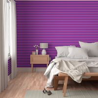 Stripes - Horizontal - 1 inch (2.54cm) - Pink (E95FBE) & Purple (5E259B)