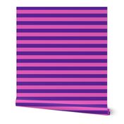 Stripes - Horizontal - 1 inch (2.54cm) - Pink (E95FBE) & Purple (5E259B)