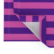 Stripes - Horizontal - 1 inch (2.54cm) - Pink (E95FBE) & Purple (5E259B)