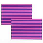 Stripes - Horizontal - 1 inch (2.54cm) - Pink (E95FBE) & Purple (5E259B)