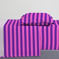 Stripes - Horizontal - 1 inch (2.54cm) - Pink (E95FBE) & Purple (5E259B)