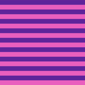Stripes - Horizontal - 1 inch (2.54cm) - Pink (E95FBE) & Purple (5E259B)
