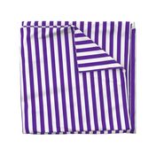 Stripes - Vertical - 1 inch (2.54cm) - Purple (#5E259B) & White (#FFFFFF)