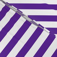 Stripes - Vertical - 1 inch (2.54cm) - Purple (#5E259B) & White (#FFFFFF)
