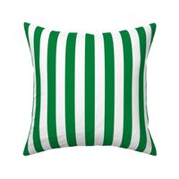 Stripes - Vertical - 1 inch (2.54cm) - Green (#00813C) & White (#FFFFFF)