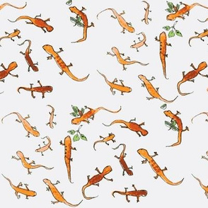 orange lizards