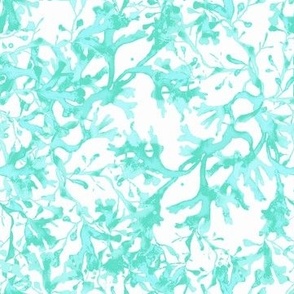 Seaweed in turquoise
