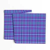 violet (purple) & teal plaid