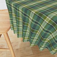 Soothing Celtic Green Plaid