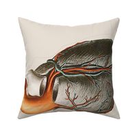 Anatomical Heart Pillow (Large) Side 2