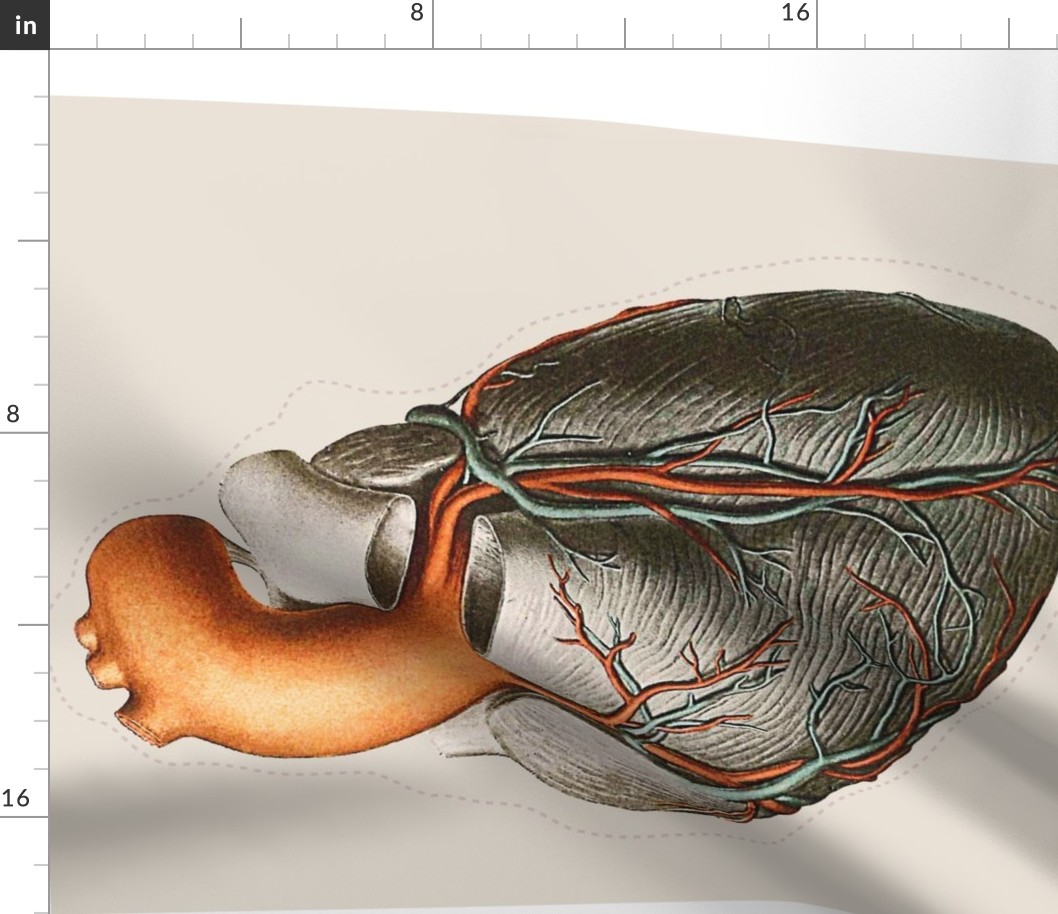 Anatomical Heart Pillow (Large) Side 2