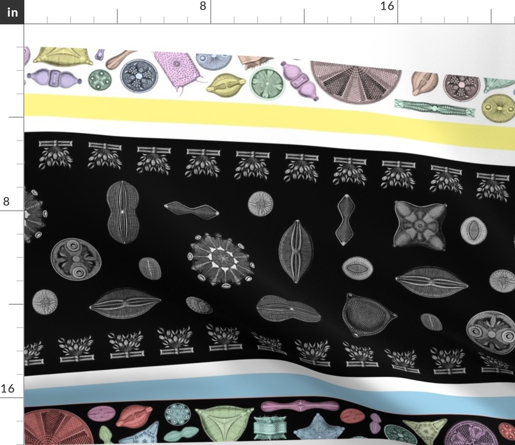 Diatoms 3-scarf panel