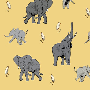 ElephantsGray