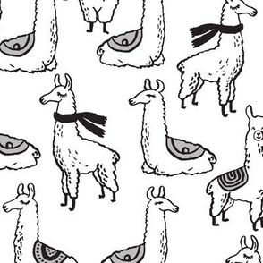 Llamas - Black and White by Andrea Lauren 