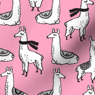 Llamas - Pink by Andrea Lauren 