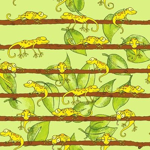 Yellow Lizards