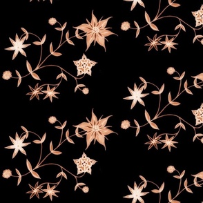 sepia stars 