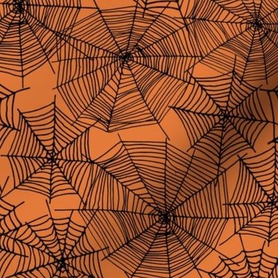 spider web  // webs spiders cute scary orange and black halloween