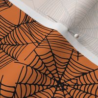 spider web  // webs spiders cute scary orange and black halloween