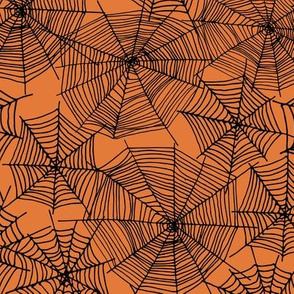 spider web  // webs spiders cute scary orange and black halloween
