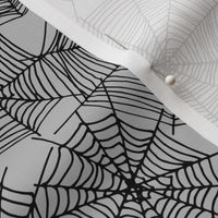 spider webs // spider spiders cute spooky scary kids baby october halloween