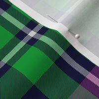 MacNeil tartan, 8" green and purple