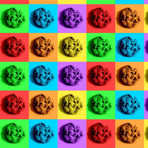 Colorful Cookie Composition