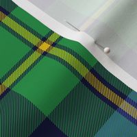 MacNeil / MacNeil of Barra  tartan c. 1831, 8" blue and green