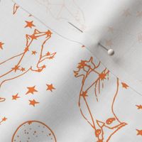 constellations // orange sky night stars bright dream animals kids nursery print