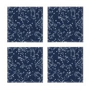 constellations // night time kids sky animals fox bear birds stars astronomy navy blue nursery