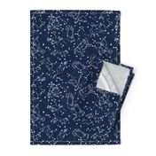 constellations // night time kids sky animals fox bear birds stars astronomy navy blue nursery