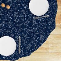 constellations // night time kids sky animals fox bear birds stars astronomy navy blue nursery