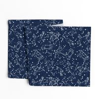 constellations // night time kids sky animals fox bear birds stars astronomy navy blue nursery