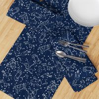 constellations // night time kids sky animals fox bear birds stars astronomy navy blue nursery