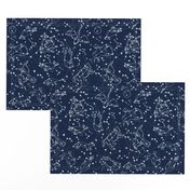 constellations // night time kids sky animals fox bear birds stars astronomy navy blue nursery