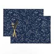 constellations // night time kids sky animals fox bear birds stars astronomy navy blue nursery