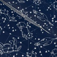 constellations // night time kids sky animals fox bear birds stars astronomy navy blue nursery