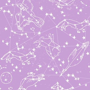 constellations // purple pastel nursery kids girls animals cute stars night sky 