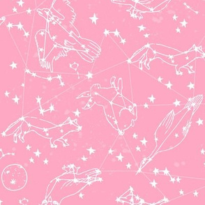 constellations // pink girls cute dreams sky nursery baby cute animals